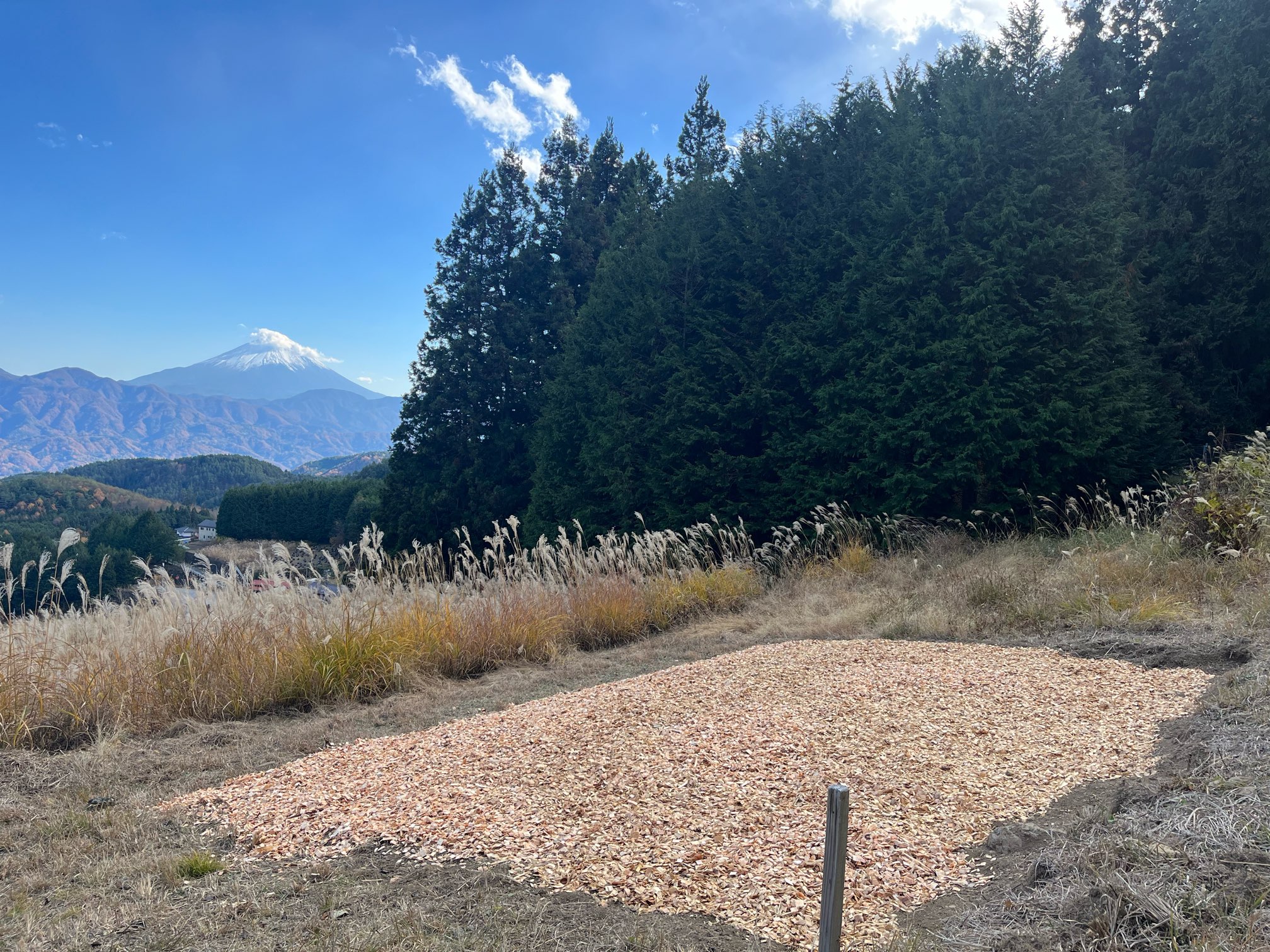ウッドチップのサイトと富士山